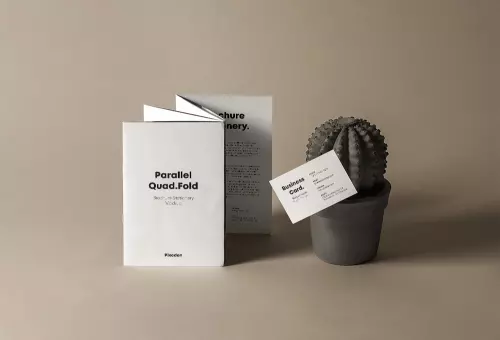 Brochure and business card PSD mockup