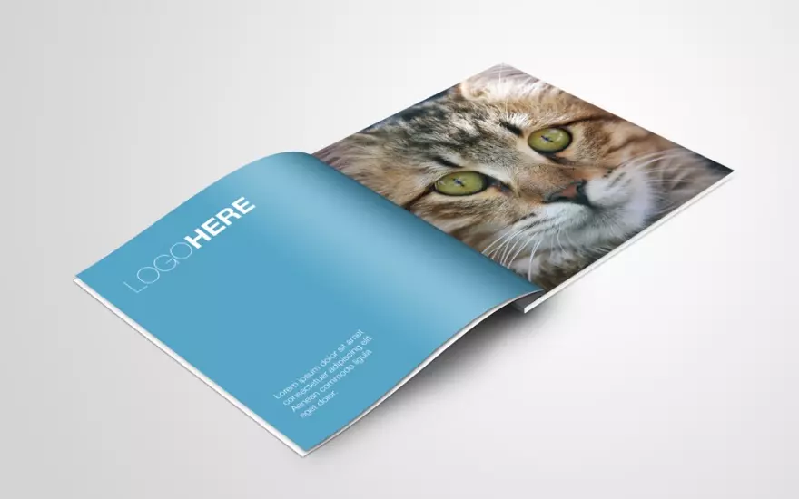 Download PSD mockup of a glossy square magazine or brochure