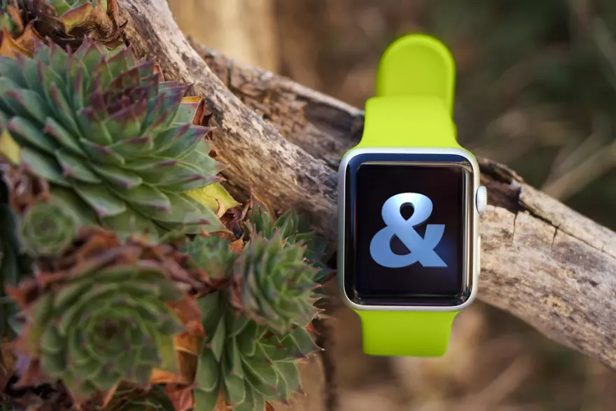 Download Watch PSD mockup on a tree