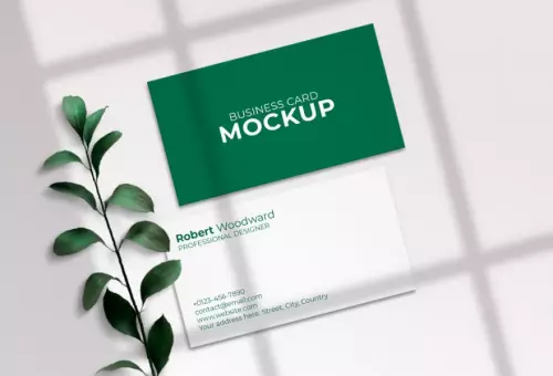Green business card mockup