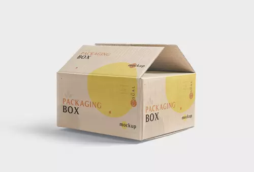 Packaging box mockup