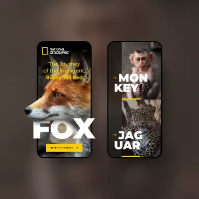 PSD layout National Geographic